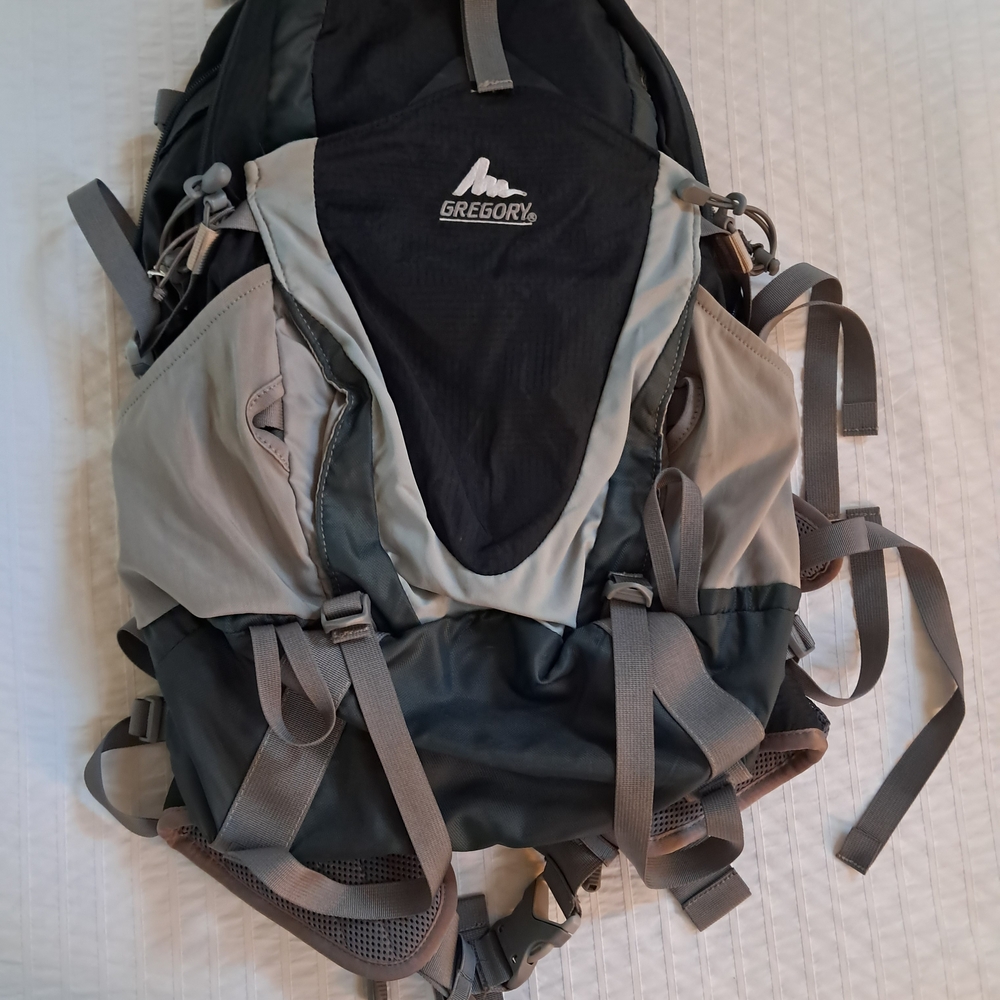 Gregory Z 25 Black and Gray Men's Backpack